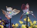 Light-up Butterfly & Hummingbird