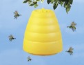 Wasp Trap