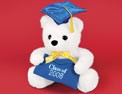 Musical Graduation Bear
