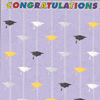 Grad Cap Door Curtain