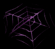 Rope Light 3D Spider Web