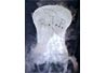 Fogging Tombstone