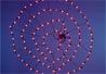 Lighted Spider Web and Spider