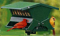 birdfeeder.jpg (7518 bytes)