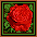 rosebut.gif (1354 bytes)
