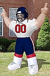 Houston Texans 8' Tiny