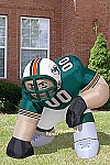 Miami Dolphins Bubba Lineman