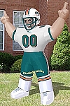 Miami Dolphins 8' Tiny
