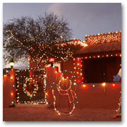 Home Decorated with Parrot Clips