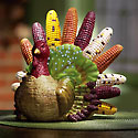 Fiber Optic Turkey Centerpiece