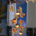 Acorn & Leaf Solar Mobile